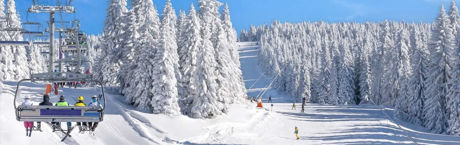 Organizzazione Eventi